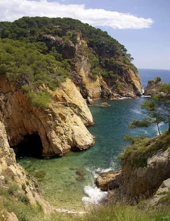 Calma S'Alguer Luxury Beach Apartment Palamos 0*,