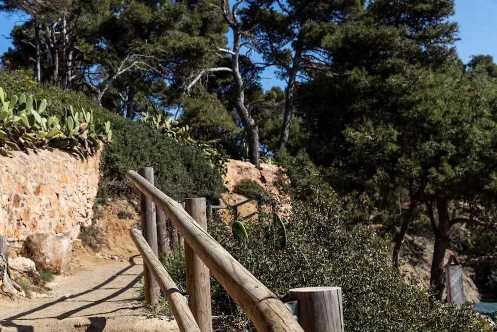 Calma S'Alguer Luxury Beach Apartment Palamos